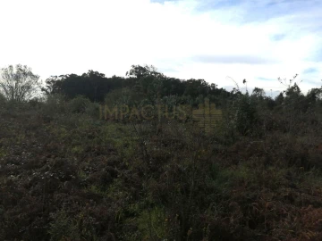 Terreno para Venda em Perafita, Lavra e Santa Cruz do Bispo