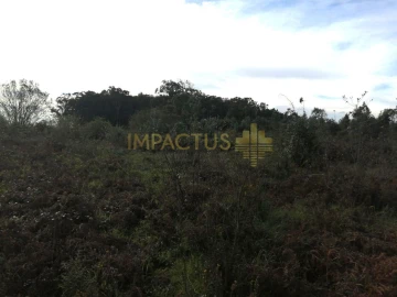 Terreno para Venda em Perafita, Lavra e Santa Cruz do Bispo