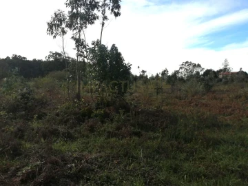 Terreno para Venda em Perafita, Lavra e Santa Cruz do Bispo