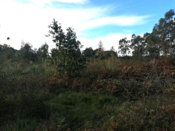 Terreno para Venda em Perafita, Lavra e Santa Cruz do Bispo