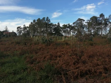 Terreno para Venda em Perafita, Lavra e Santa Cruz do Bispo