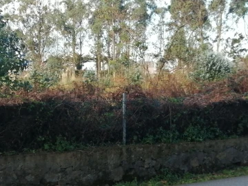 Terreno para Venda em Perafita, Lavra e Santa Cruz do Bispo
