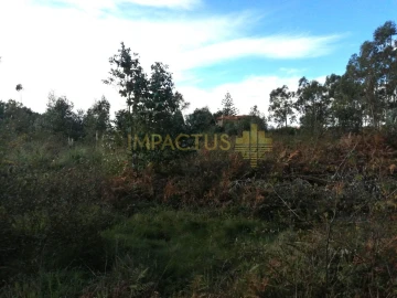 Terreno para Venda em Perafita, Lavra e Santa Cruz do Bispo