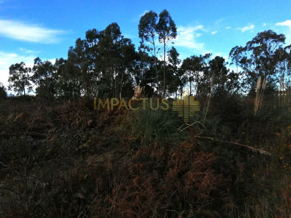 Terreno para Venda em Perafita, Lavra e Santa Cruz do Bispo Foto 17