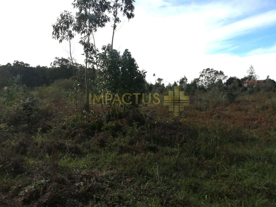 Terreno para Venda em Perafita, Lavra e Santa Cruz do Bispo Foto 11