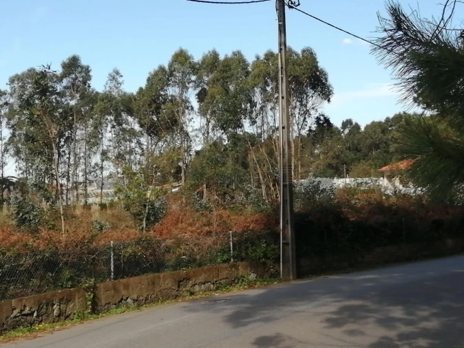 Terreno para Venda em Perafita, Lavra e Santa Cruz do Bispo Foto 4