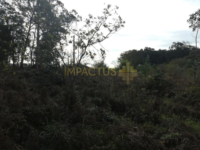Terreno para Venda em Perafita, Lavra e Santa Cruz do Bispo Foto 12