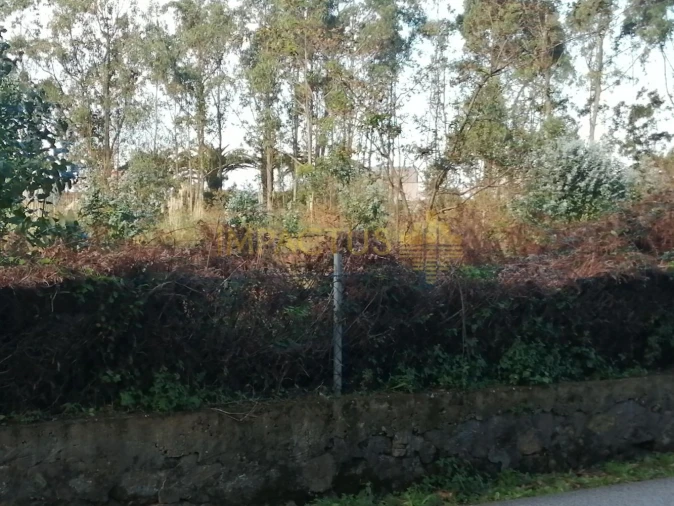 Terreno para Venda em Perafita, Lavra e Santa Cruz do Bispo Foto 5