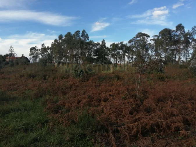Terreno para Venda em Perafita, Lavra e Santa Cruz do Bispo Foto 10