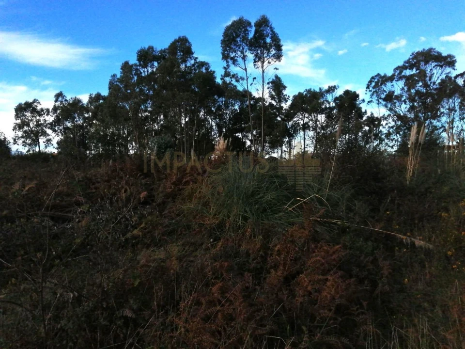 Terreno para Venda em Perafita, Lavra e Santa Cruz do Bispo Foto 17