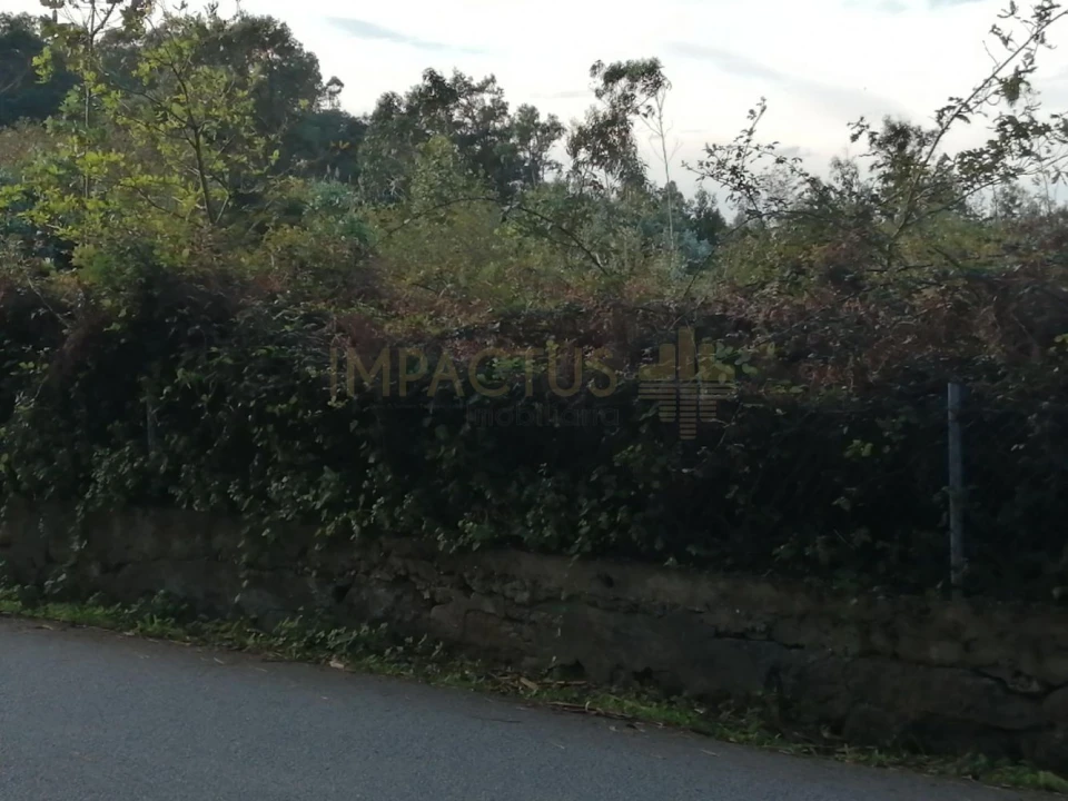 Terreno para Venda em Perafita, Lavra e Santa Cruz do Bispo Foto 7