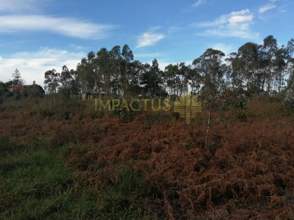 Terreno para Venda em Perafita, Lavra e Santa Cruz do Bispo Foto 10