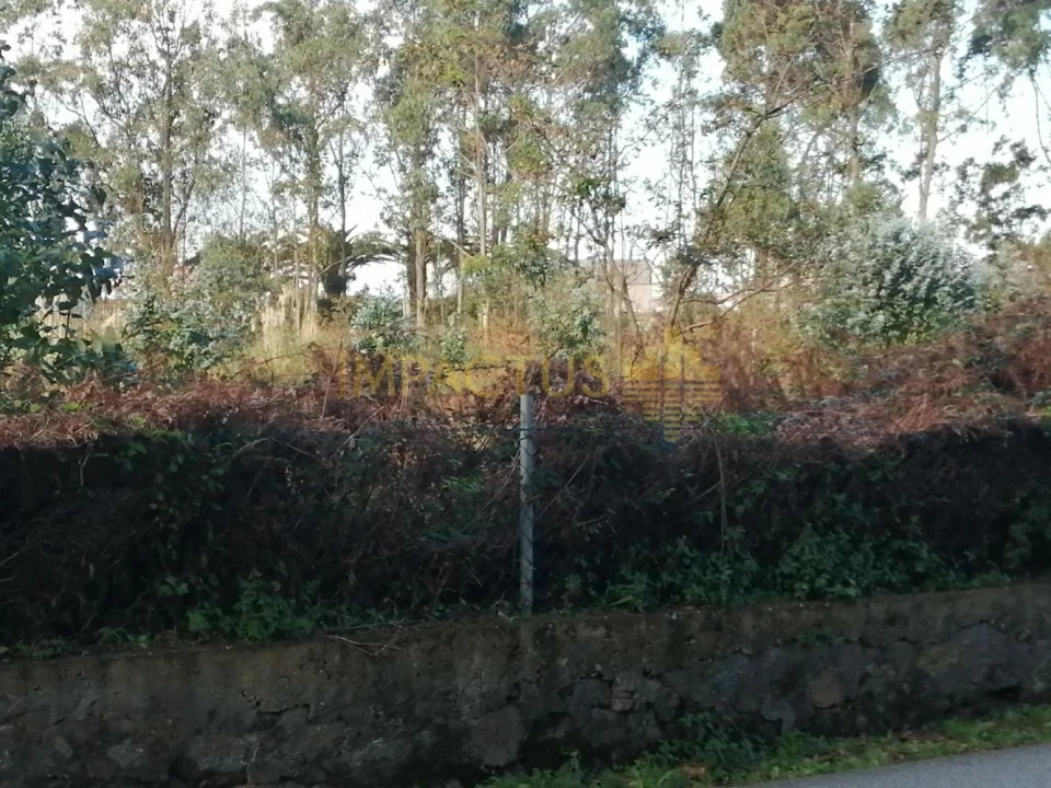 Terreno para Venda em Perafita, Lavra e Santa Cruz do Bispo Foto 5