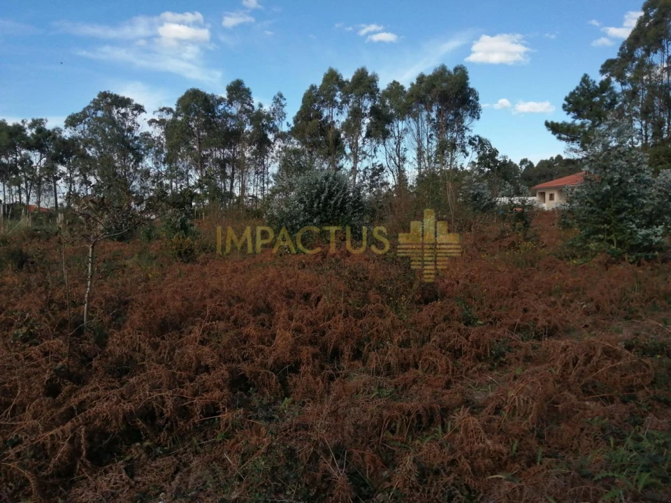 Terreno para Venda em Perafita, Lavra e Santa Cruz do Bispo Foto 9