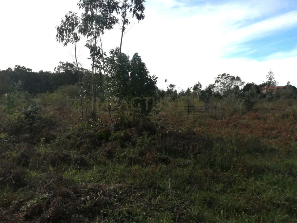 Terreno para Venda em Perafita, Lavra e Santa Cruz do Bispo Foto 11