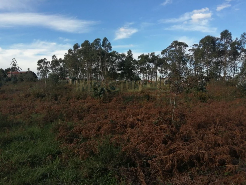 Terreno para Venda em Perafita, Lavra e Santa Cruz do Bispo Foto 10