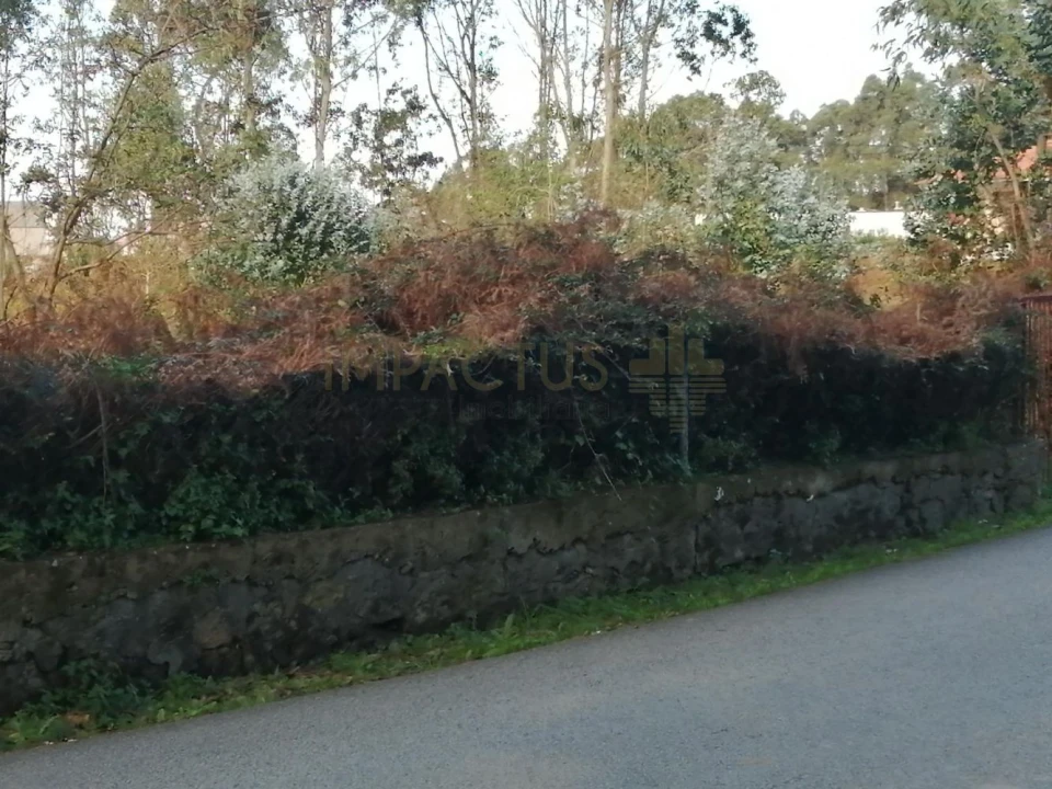 Terreno para Venda em Perafita, Lavra e Santa Cruz do Bispo Foto 6