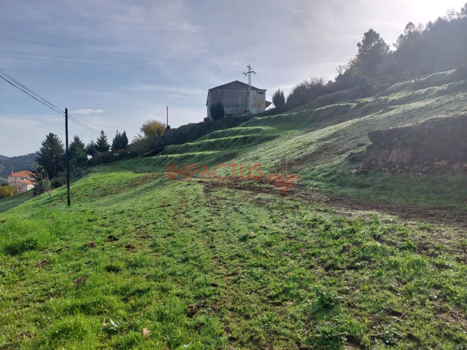 Terreno para Venda em Paradela e Granjinha Foto 11