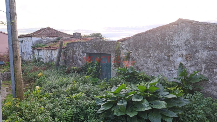 Terreno para Venda em Coronado (São Romão e São Mamede) Foto 2