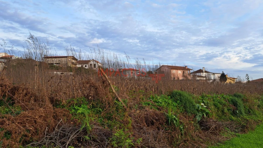 Terreno para Venda em Coronado (São Romão e São Mamede) Foto 12