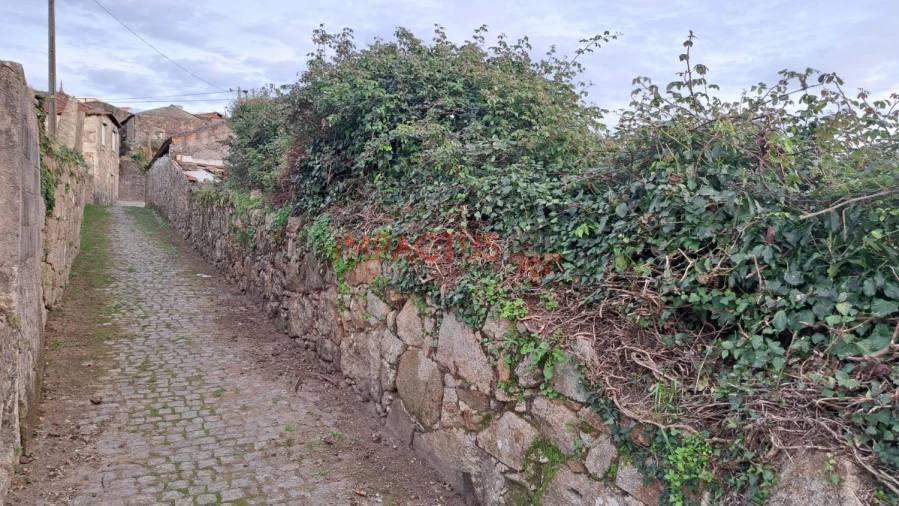 Terreno para Venda em Coronado (São Romão e São Mamede) Foto 11