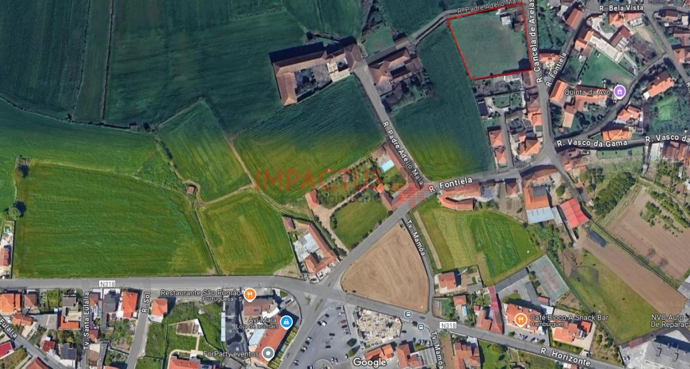 Terreno para Venda em Coronado (São Romão e São Mamede) Foto 15