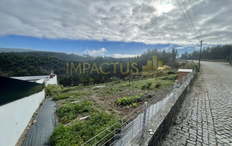 Terreno para Venda em Folgosa Foto 2