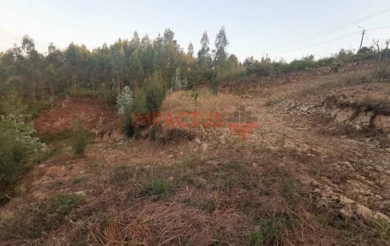Terreno para Venda em Folgosa Foto 7