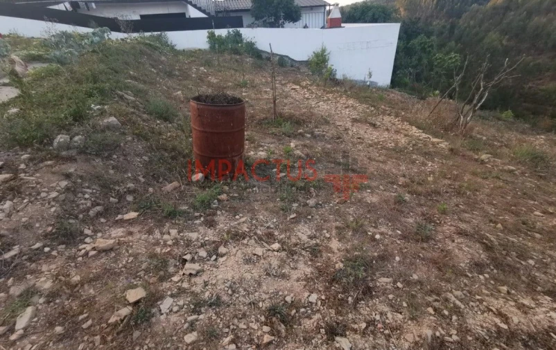 Terreno para Venda em Folgosa Foto 8