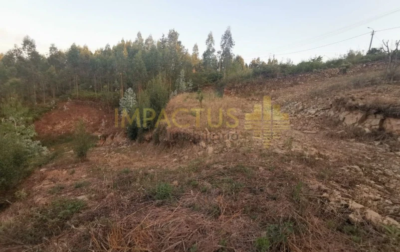 Terreno para Venda em Folgosa Foto 7
