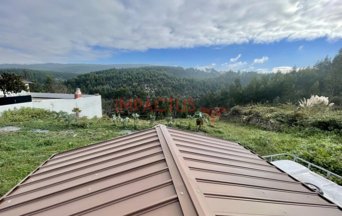 Terreno para Venda em Folgosa Foto 6