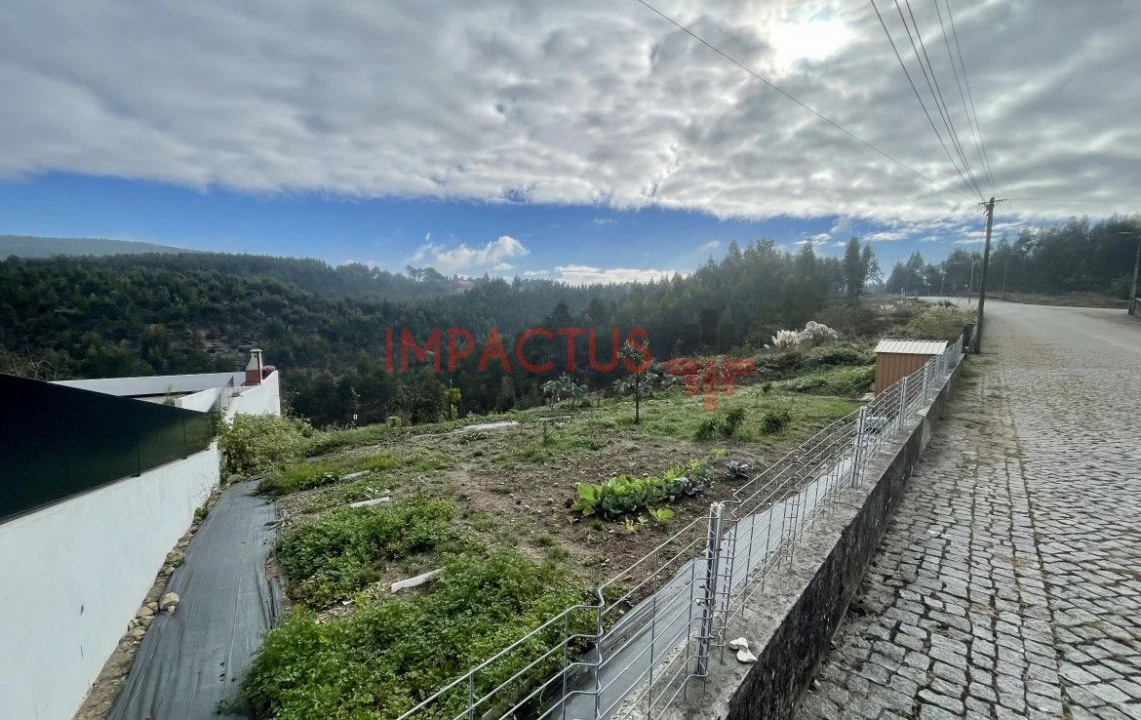 Terreno para Venda em Folgosa Foto 2