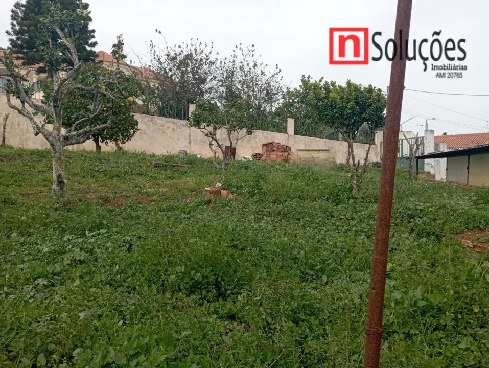 Terreno para Venda em Fanhões Foto 15