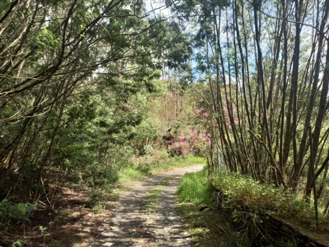 Moradia T3 para Venda em Recarei Foto 8