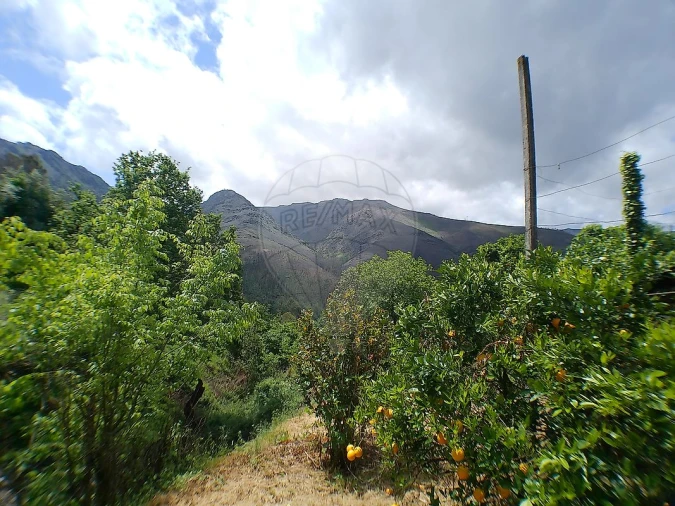 Moradia T1 para Venda em São Martinho das Moitas e Covas do Rio Foto 12