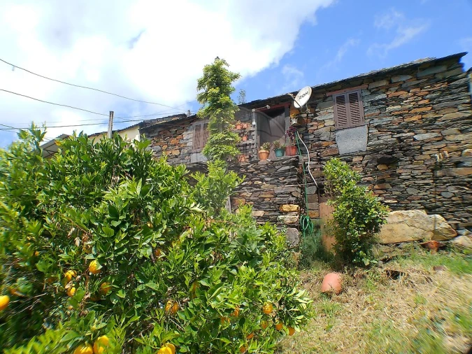 Moradia T1 para Venda em São Martinho das Moitas e Covas do Rio Foto 11