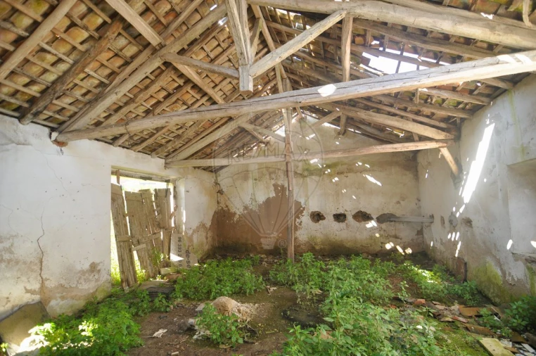 Moradia T2 para Venda em Carvoeira e Carmões Foto 6