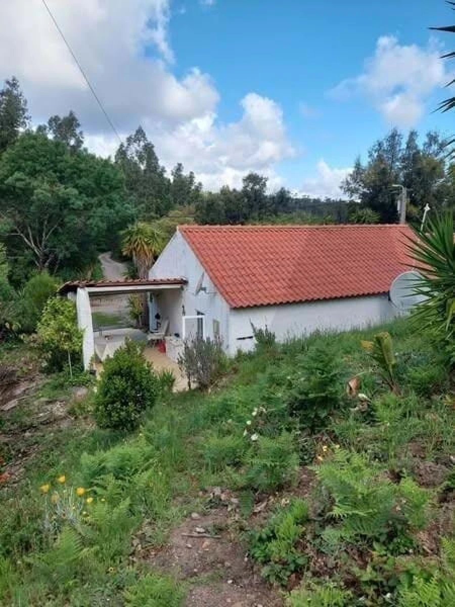 Quinta T3 para Venda em Monchique Foto 4