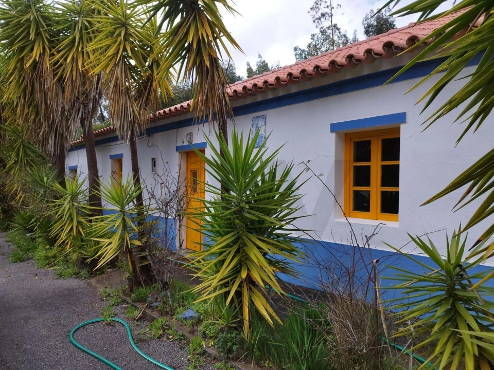 Quinta T3 para Venda em Monchique Foto 3