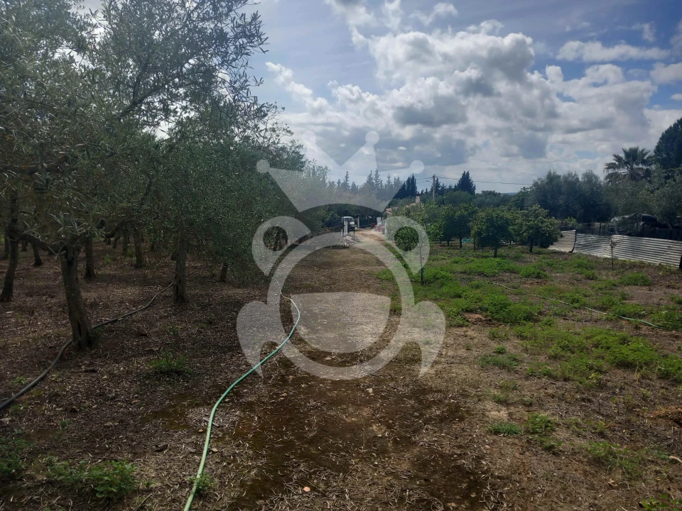 Terreno para Venda em Serpa (Salvador e Santa Maria) Foto 3