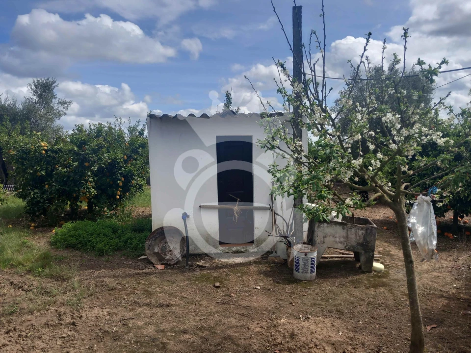 Terreno para Venda em Serpa (Salvador e Santa Maria) Foto 10