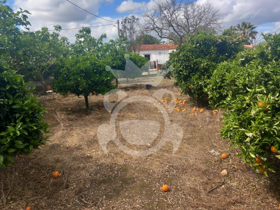 Terreno para Venda em Serpa (Salvador e Santa Maria) Foto 9