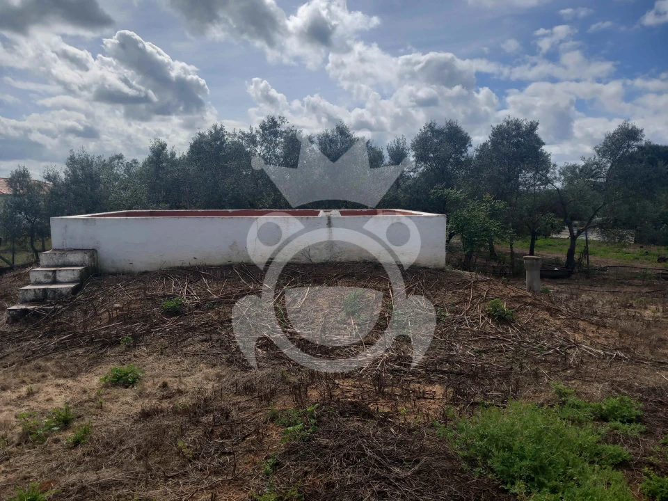 Terreno para Venda em Serpa (Salvador e Santa Maria) Foto 13