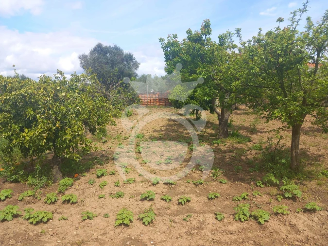 Terreno para Venda em Serpa (Salvador e Santa Maria) Foto 7