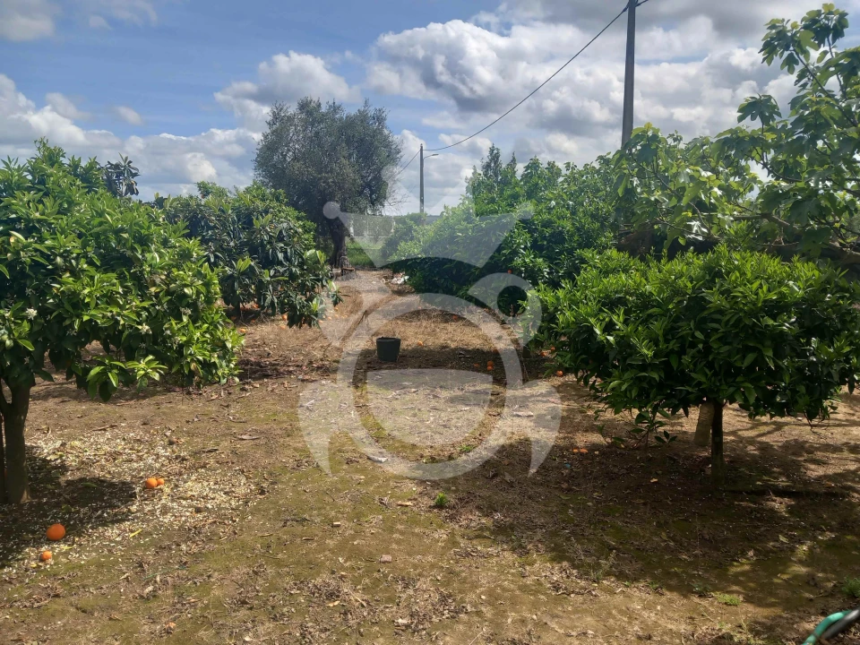 Terreno para Venda em Serpa (Salvador e Santa Maria) Foto 12