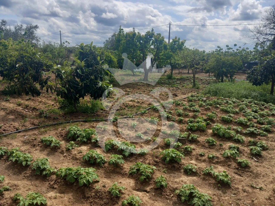 Terreno para Venda em Serpa (Salvador e Santa Maria) Foto 1