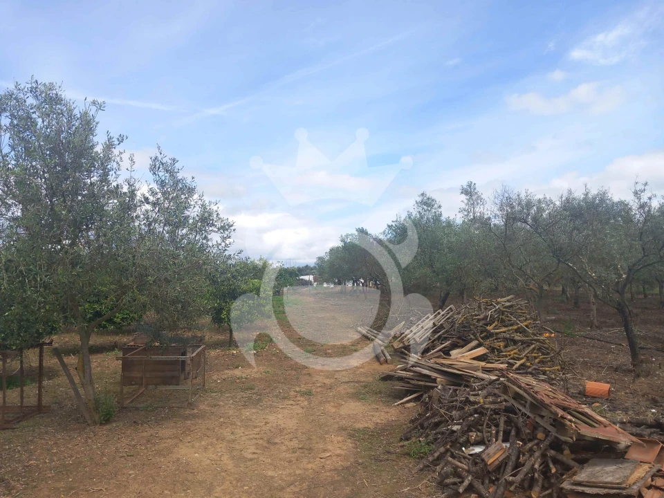 Terreno para Venda em Serpa (Salvador e Santa Maria) Foto 2