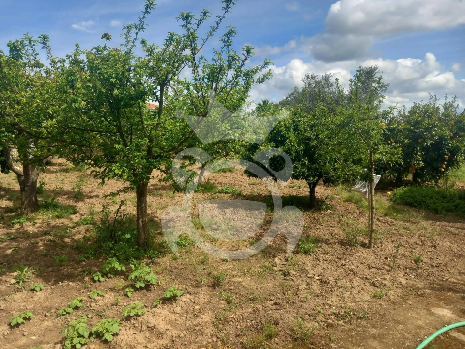 Terreno para Venda em Serpa (Salvador e Santa Maria) Foto 8
