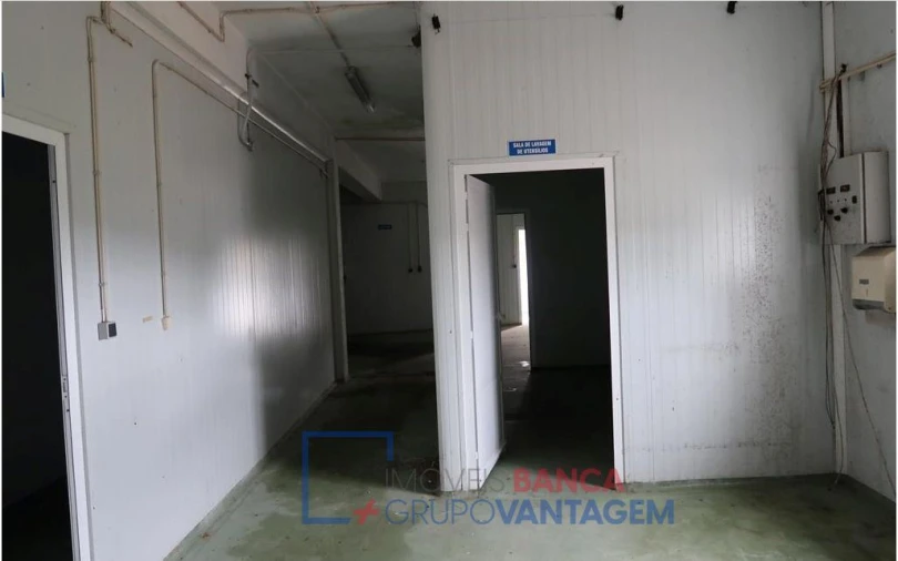 Armazém para Venda em Comenda Foto 3
