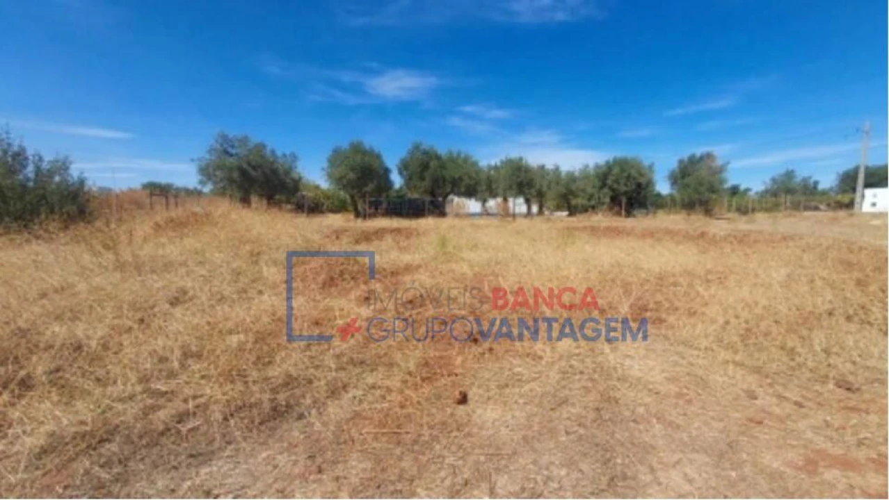 Terreno para Venda em Nossa Senhora da Conceição, São Brás dos Matos, Juromenha Foto 6